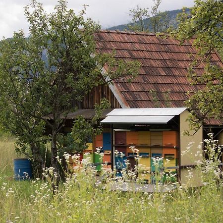 Apartma Petra Ravnik - Wanderer'S Hut Apartamento Bohinj Exterior foto