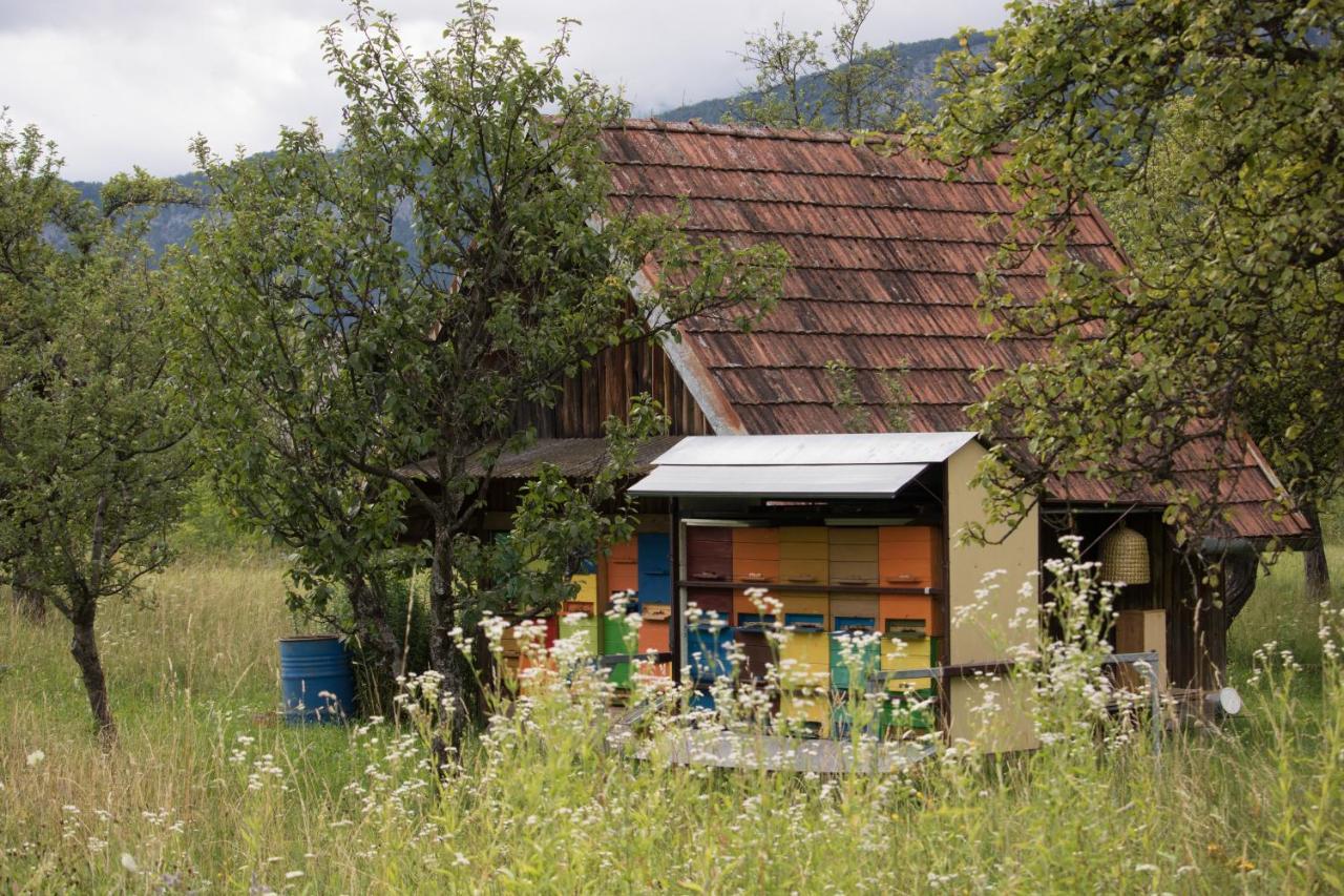 Apartma Petra Ravnik - Wanderer'S Hut Apartamento Bohinj Exterior foto